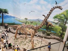 -辽宁古生物博物馆