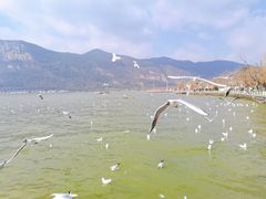 -滇池海埂公园