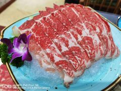 -金龙·打边炉(武进路店)