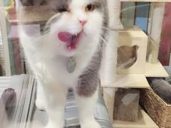 -小时光咖啡馆(开森度假森林店)