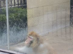 -荆州中山公园动物园