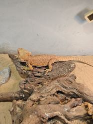 -Zoolung Zoolung动物主题公园(海信广场店)