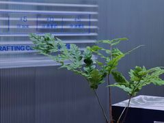 -CUBIC3三立方咖啡(西岸凤巢店)