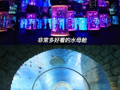 -正佳雨林生态植物园