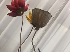 -中卫御苑福膳·养生局(圆明园店)