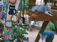 -沂蒙山旅游区云蒙景区(蒙山国家森林公园)