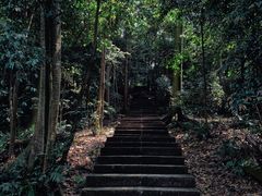 -凤栖山