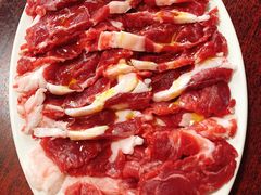 三角肉-鞍山戰