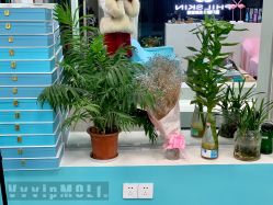 -斐尔国际皮肤管理中心