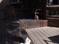 景观位-马勒别墅·中餐厅