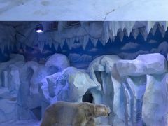 -芜湖新华联大白鲸海洋公园