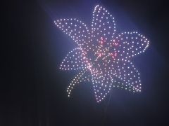 -荷兰花海