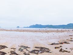 -北岐滩涂