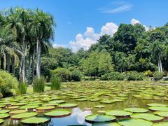 -中国科学院西双版纳热带植物园