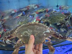 -日照大牌檔•小船海鲜(万平口店)