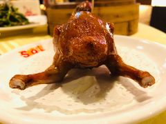 驰名石岐乳鸽-石岐佬中山菜馆(张溪店)