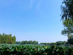 -湖滨客舍·湖北菜