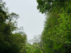 -同里国家湿地公园