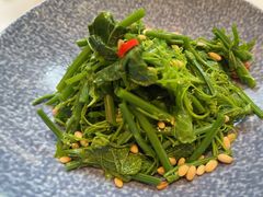松子龙须菜-茉里乐章(花园店)