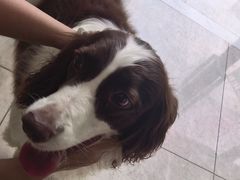 -瑞鹏瑞爱宠物医院·全科·猫科·血液透析中心(龙头寺店)