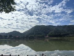 -风云岭森林公园