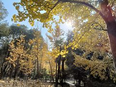-宝界山林公园