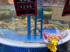 -皮记海鲜1995(寮步店)