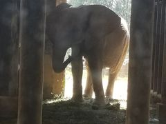 -石家庄市动物园