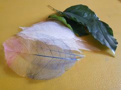 -昆明春城湖畔度假村