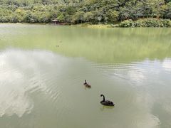 -广州白江湖森林公园