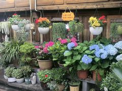 -龙姐私房菜(和顺古镇店)