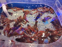 -澜悦港海鲜体验主题餐厅