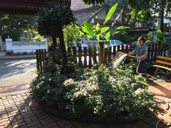 -清迈女子监狱马杀鸡(无分店)