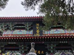 -洛阳白马寺
