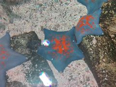 -沈阳海洋探索中心