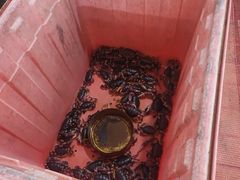 -岛中岛·海鲜大排档·万宁老字号(东澳店)