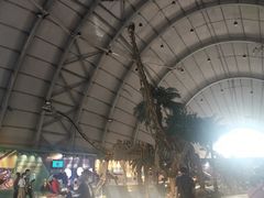 -辽宁古生物博物馆
