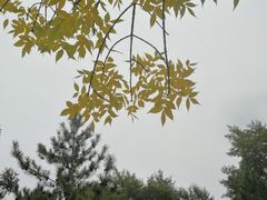 -青城公园