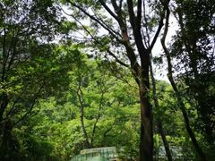 -牛鱼嘴原始生态风景区
