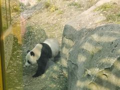-武汉动物园
