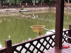-尚庄度假村·庭台树下·户外烧烤·团建CS·轰趴营地(上庄水库店)