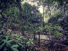 -广州市白云山风景名胜区
