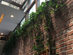 -金豆角砂锅焖面(安贞店)