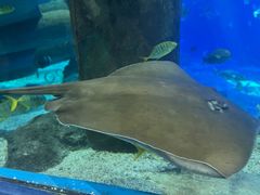 -福州罗源湾海洋世界旅游区