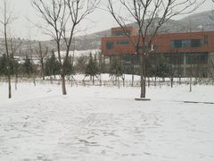 悦园-山东大学(兴隆山校区)