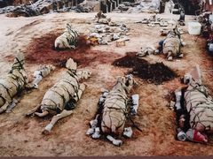 -秦始皇帝陵博物院(兵马俑)