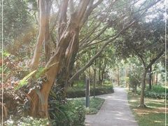 -福田红树林生态公园