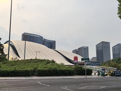 -合肥大剧院