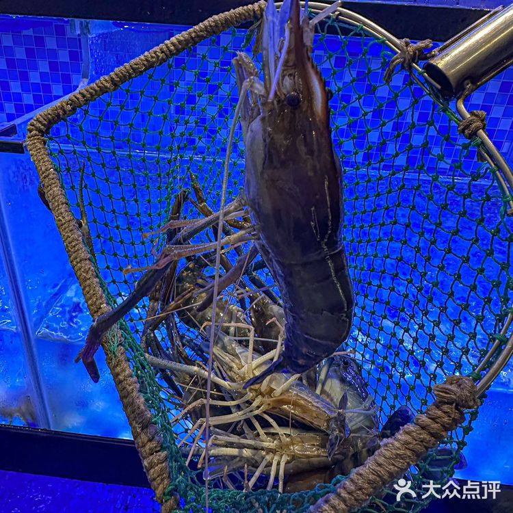 （苏州）秋天第一顿大闸蟹也是被我吃上了！！