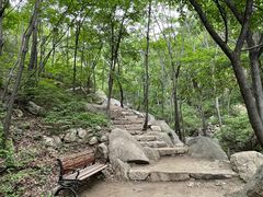 -大岭沟猕猴桃谷风景区